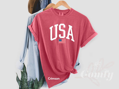 Comfort Colors USA Flag Shirt, Comfort Colors USA Christmas Gift, USA Comfort Colors Tshirt, 4 of July Usa Flag Tshirt, Independence Day Tee