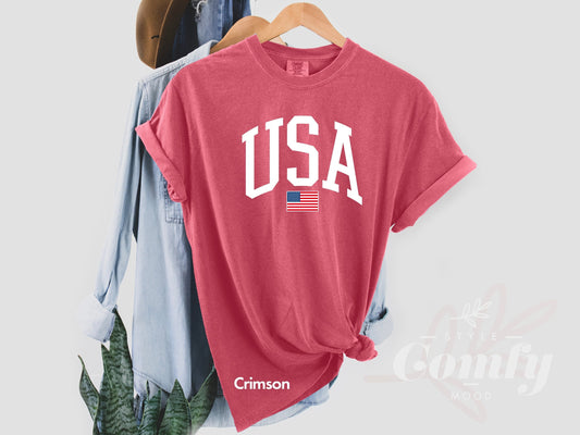 Comfort Colors USA Flag Shirt, Comfort Colors USA Christmas Gift, USA Comfort Colors Tshirt, 4 of July Usa Flag Tshirt, Independence Day Tee